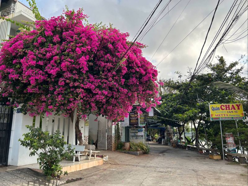 Quán Chay Tâm Từ Vegan