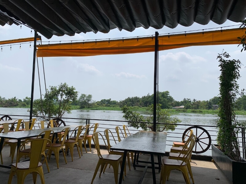 Bò leo Thang bờ sông Bình Lợi