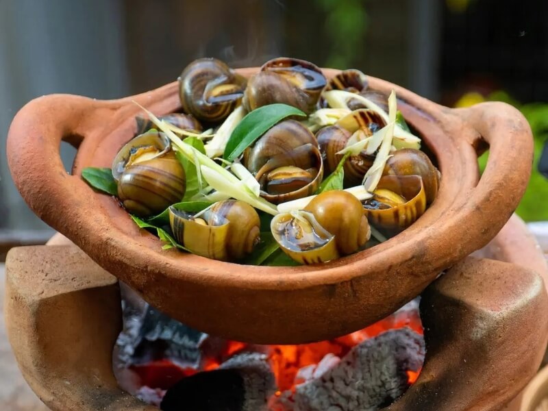 Top 7 quán ốc bờ kè chill chil ngon cực