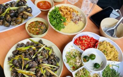 Top 8 quán ốc ngon Hải Phòng nhất định phải thử