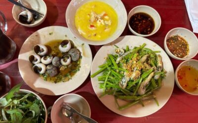 Top 6 quán ốc Quận 1 cực ngon cực chất lượng